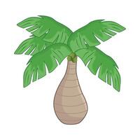 illustratie van palm vector