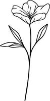 bloemen lijn kunst, botanisch bloem vector illustratie