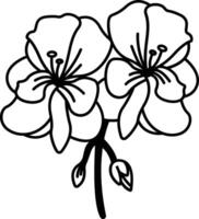 geranium bloem glyph en lijn vector illustratie