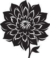 dahlia bloem silhouet vector illustratie wit achtergrond