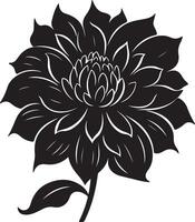 dahlia bloem silhouet vector illustratie wit achtergrond