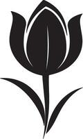 tulp bloem silhouet vector illustratie wit achtergrond