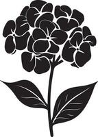 hortensia bloem silhouet vector illustratie wit achtergrond