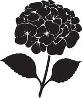 hortensia bloem silhouet vector illustratie wit achtergrond