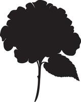 hortensia bloem silhouet vector illustratie wit achtergrond