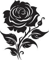 roos bloem silhouet vector illustratie wit achtergrond