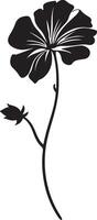 geranium bloem silhouet vector illustratie wit achtergrond