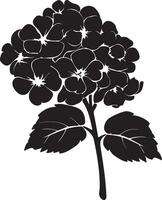 hortensia bloem silhouet vector illustratie wit achtergrond