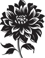 dahlia bloem silhouet vector illustratie wit achtergrond