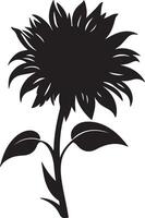 zonnebloem silhouet vector illustratie wit achtergrond