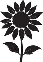 zonnebloem silhouet vector illustratie wit achtergrond