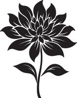 dahlia bloem silhouet vector illustratie wit achtergrond