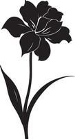 gele narcis bloem silhouet vector illustratie wit achtergrond