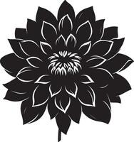 dahlia bloem silhouet vector illustratie wit achtergrond