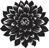 dahlia bloem silhouet vector illustratie wit achtergrond