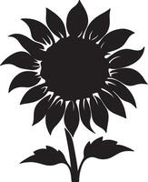 zonnebloem silhouet vector illustratie wit achtergrond