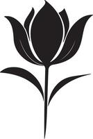 tulp bloem silhouet vector illustratie wit achtergrond