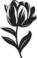 tulp bloem silhouet vector illustratie wit achtergrond