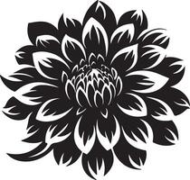 dahlia bloem silhouet vector illustratie wit achtergrond