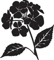 hortensia bloem silhouet vector illustratie wit achtergrond