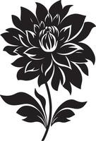 dahlia bloem silhouet vector illustratie wit achtergrond