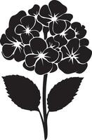 hortensia bloem silhouet vector illustratie wit achtergrond