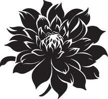 dahlia bloem silhouet vector illustratie wit achtergrond