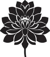 dahlia bloem silhouet vector illustratie wit achtergrond