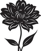 dahlia bloem silhouet vector illustratie wit achtergrond