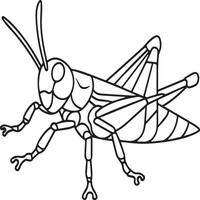 insecten kleur Pagina's voor kleur boek. insecten schets vector. vector