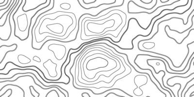 wit achtergrond met topografisch golvend patroon ontwerp. abstract patroon met lijnen vector