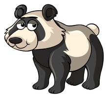 Droevige panda op witte achtergrond vector