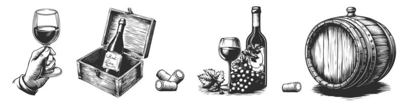 wijn set. hand- getrokken wijn maken producten in schetsen stijl. gravure van loop, glas, fles van wijn in houten doos, wijn stop. klassiek alcoholisch drankje. vector illustratie voor wijnmakerij