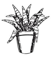 schets tekening van kamerplant in pot. tropisch flora in huis tekening. hand- getrokken vector illustratie. gravure retro stijl clip art geïsoleerd Aan wit achtergrond.