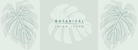 botanisch abstract achtergrond met bloemen lijn kunst ontwerp. horizontaal web banier in minimaal stijl met groen monstera bladeren, silhouetten en contour vormen van tropisch gebladerte. vector illustratie.