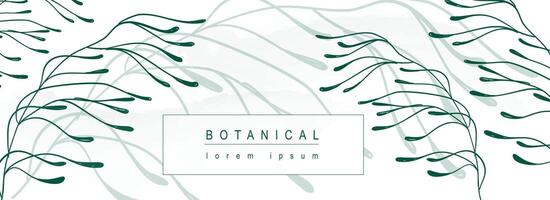 botanisch abstract achtergrond met bloemen lijn kunst ontwerp. horizontaal web banier in minimaal stijl met groen bladeren ornament, groen twijgen met silhouet schaduw Aan achtergrond. vector illustratie.