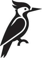 spechten vogel logo concept, zwart kleur silhouet, wit achtergrond 4 vector