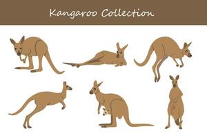 kangoeroe vector illustratie set. schattig kangoeroe geïsoleerd Aan wit achtergrond.