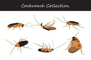 kakkerlak vector illustratie set. schattig kakkerlak geïsoleerd Aan wit achtergrond.