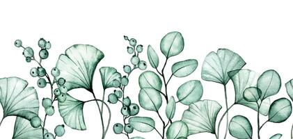 waterverf tekening. naadloos grens met transparant eucalyptus en ginkgo bladeren. röntgenstraal vector