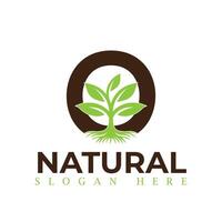 natuurlijk, eco voedsel, groen blad zaailing, groeit fabriek logo ontwerp vector sjabloon. natuurlijk logos met bladeren