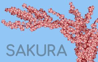 sakura takken Aan een blauw achtergrond. klein roze bloemen. Japans kers bloesem. sakura tekst. voorjaar in Japan. roze bloemblaadjes, boom, vegetatie. vector illustratie.