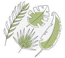 reeks van tropisch bladeren. lineair bladeren met een groen plek. exotisch plantkunde. thema van ecologie en natuur. contour met kleur Aan een wit achtergrond. vector illustratie.