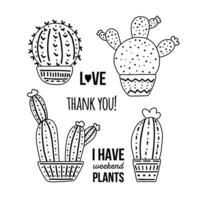 hand getekend vector cactussen reeks met kalligrafie, belettering. schets tekening stijl grafisch ontwerp van doornig planten, bloeiend cactussen, sappig planten in kleurrijk keramisch potten. huis planten, Mexico cactus.