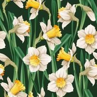naadloos patroon met narcis bloemen. voorjaar kleding stof ontwerp. bloemen afdrukken voor Pasen met narcissen. geschikt voor kleding stof behang, textiel, scrapbooken. vector