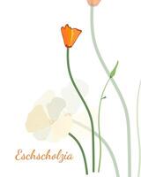 de gemakkelijk geïsoleerd oranje eschscholzia Aan wit achtergrond vector kunst