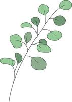 vers eucalyptus Afdeling met groen bladeren geïsoleerd in wit achtergrond vector