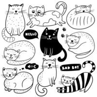 groot reeks van hand- getrokken vector tekening katten.
