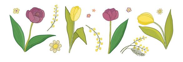 tulp bloemen vector illustraties reeks