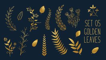reeks van gouden decoratief bladeren ontwerp vector
